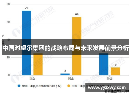 中国对卓尔集团的战略布局与未来发展前景分析