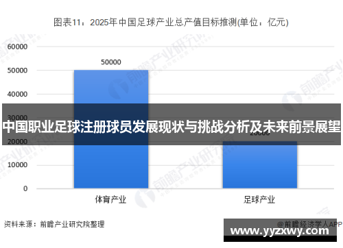 中国职业足球注册球员发展现状与挑战分析及未来前景展望
